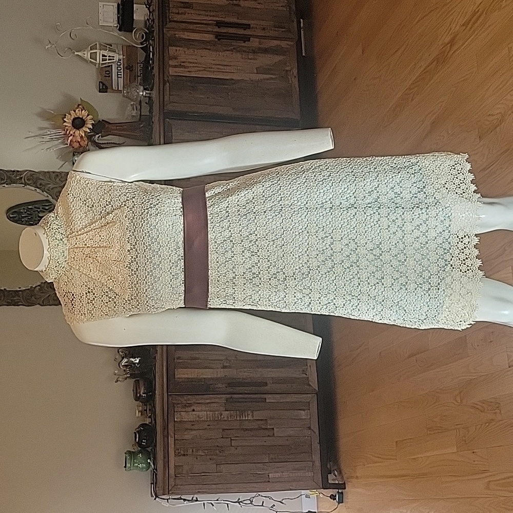 Mae Lace dress with Jabot Collar and attached slip